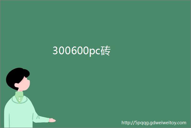 300600pc砖