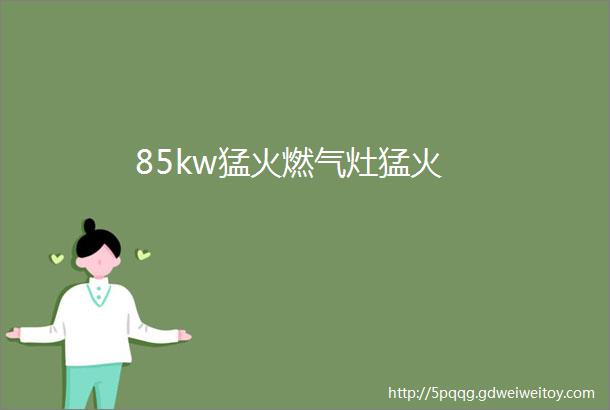 85kw猛火燃气灶猛火