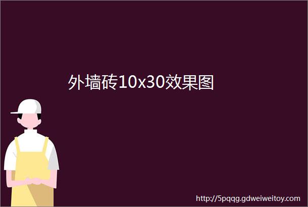 外墙砖10x30效果图