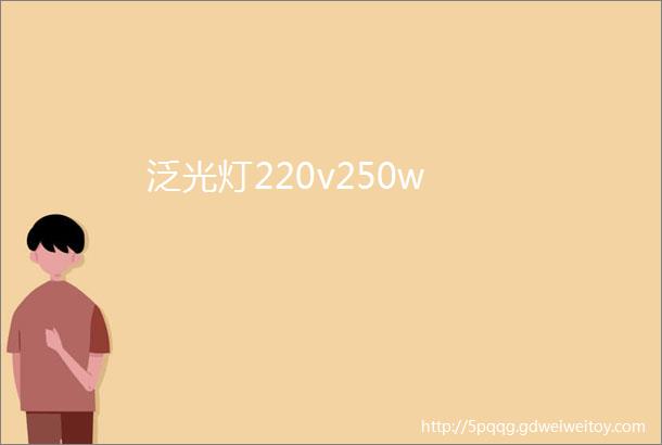 泛光灯220v250w