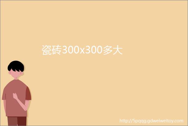 瓷砖300x300多大